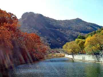 澳门二四六天天彩图库，论坛